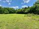 Spacious backyard with lush greenery and plenty of room for recreation and relaxation at 645 E Border E Rd, Rock Hill, SC 29730
