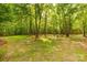 Expansive, wooded backyard with a mix of grassy areas and mature trees, offering privacy and a natural setting at 728 Palmers Pl, Rock Hill, SC 29730
