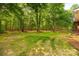 The spacious backyard offers ample green space, bordered by mature trees, ensuring privacy and a serene outdoor experience at 728 Palmers Pl, Rock Hill, SC 29730