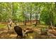 A backyard firepit is surrounded by seating and lush greenery, perfect for outdoor relaxation and enjoying the natural setting at 728 Palmers Pl, Rock Hill, SC 29730