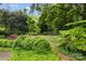 Verdant backyard with vibrant green bushes and mature trees for privacy at 920 Queens Rd, Charlotte, NC 28207