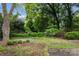 Lush backyard featuring mature trees and a mix of bushes and ground cover at 920 Queens Rd, Charlotte, NC 28207