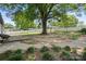 Large backyard with mature tree at 135 Mcshag Dr, Kannapolis, NC 28081