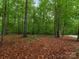 Picturesque wooded lot covered in fallen leaves, offering privacy and a serene natural setting at 3385 Rainbow Dr # 7A, Marvin, NC 28173