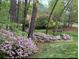 Secluded backyard featuring lush landscaping, blooming flowers, and a charming swing at 3804 Bellingham Ln, Charlotte, NC 28215