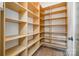 Walk-in pantry features built-in shelving and ample storage space at 6868 St Peters Ln, Matthews, NC 28105