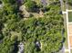 Beautiful aerial view of a home and lot surrounded by lush green trees, offering privacy and a serene setting at 8903 New Town Rd, Waxhaw, NC 28173