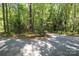 Gravel driveway leading through a serene and wooded property at 8903 New Town Rd, Waxhaw, NC 28173