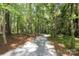 Gravel driveway leading to the property through mature trees at 8903 New Town Rd, Waxhaw, NC 28173