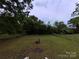 Large backyard surrounded by mature trees and chain link fence at 1224 Bailey St, Albemarle, NC 28001