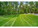 Landscaped backyard features a well-kept lawn, offering a serene and private outdoor experience at 13106 Bien Ct, Huntersville, NC 28078