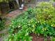 Serene garden featuring varied plantings and a brick pathway at 3020 Hampton Ave, Charlotte, NC 28207