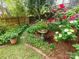 Picturesque garden with blooming roses, a birdbath, and lush greenery at 3020 Hampton Ave, Charlotte, NC 28207