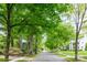 Residential street featuring lush trees and well-maintained homes at 3020 Hampton Ave, Charlotte, NC 28207