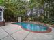 Serene backyard featuring a kidney-shaped pool, climbing wall, mature trees, and privacy fencing at 404 Basingdon Ct, Waxhaw, NC 28173