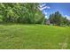 Lush green backyard with mature trees creating a private, peaceful outdoor space at 6723 Joliette Ln, Charlotte, NC 28277