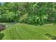 Well-maintained backyard with lush green grass and natural barrier on a sunny day at 6723 Joliette Ln, Charlotte, NC 28277