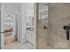 Walk-in shower with stylish tile and convenient grab bar, adjacent to the bathroom vanity at 11621 Mount Argus Dr, Cornelius, NC 28031