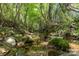 A serene creek winding through a lush, green forest landscape at 14834 Pawnee Trl, Matthews, NC 28104