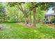 Spacious backyard with lush green grass, mature trees, and a charming fire pit area at 3134 Old Chapel Ln, Charlotte, NC 28210