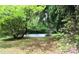 Secluded pool surrounded by mature trees, offering a private outdoor retreat at 425 Roselawn Pl, Charlotte, NC 28211