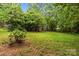 Spacious backyard features a lush lawn and mature trees, providing privacy and a natural backdrop at 8368 Fairfield Forest Rd, Denver, NC 28037