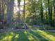 A lush green backyard featuring a dark metal fence and the surrounding woods beyond at 9930 Karras Commons Way, Matthews, NC 28105