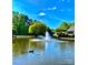 Scenic view of the community pond with a water fountain feature surrounded by lush trees, and a duck swimming at 101 Keswick Ln, Mooresville, NC 28117