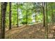 Backyard view featuring trees with lush greenery and a peek of the residence at 117 Mills Ln, Fort Mill, SC 29708