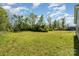 Large grassy backyard with plentiful trees and lush green bushes under a bright blue sky at 1263 Crawford Rd, Rock Hill, SC 29730