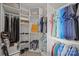 Spacious walk-in closet with custom shelving and ample storage for clothes and accessories at 3736 Melrose Cottage Dr, Matthews, NC 28105