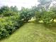 Lush, green backyard with a variety of trees, bushes, and foliage, offering a peaceful outdoor view at 601 Scottsbrook Dr, Charlotte, NC 28213