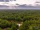 Expansive aerial view of lush green trees and winding streams and water in canopy 2025 neighborhood at 9013 Yellow Pine Ct, Waxhaw, NC 28173