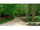 Long driveway winding through a lush green landscape of mature trees at 9013 Yellow Pine Ct, Waxhaw, NC 28173
