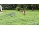 Expansive backyard with community garden sign and lush greenery, ideal for outdoor activities at 1203 Pamela Dr, Shelby, NC 28150