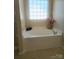 A luxurious soaking tub next to a patterned glass block window at 121 Marcella Dr, Kings Mountain, NC 28086
