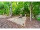 A backyard firepit with Adirondack chairs surrounded by trees, offering a cozy outdoor space at 16507 Palisades Commons Dr, Charlotte, NC 28278
