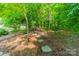 Secluded wooded backyard featuring a stone pathway and peaceful natural setting at 16507 Palisades Commons Dr, Charlotte, NC 28278