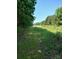 Lush green pathway surrounded by thick trees at 4194 Buffalo Shoals Rd, Maiden, NC 28650