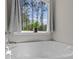 Bright bathroom features a white tub and a view of trees at 539 Morrison Farm Rd, Troutman, NC 28166
