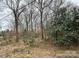 A densely wooded property offers privacy and natural beauty at 910 Mcgowan Rd, Shelby, NC 28150