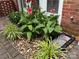 Lush landscaping around the home, featuring vibrant plants and manicured stone at 1142 Ardwyck Pl # 5, Rock Hill, SC 29730