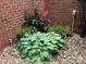 Beautiful landscaping with a variety of plants and shrubs adding to the home's charm at 1142 Ardwyck Pl # 5, Rock Hill, SC 29730