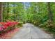 Long paved driveway framed by mature trees and colorful azaleas, leading to the charming home at 115 Forestcliff Ne Ct, Concord, NC 28025