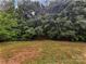 Lush backyard with mature trees and grassy lawn at 15923 Prescott Hill Ave, Charlotte, NC 28277
