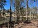 Scenic view of a tranquil pond surrounded by trees, offering a serene and peaceful setting at 1905-A Bechtler Rd, Edgemoor, SC 29712
