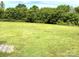 Expansive backyard view showcasing the property's ample green space at 3300 Luke Ct, Monroe, NC 28112
