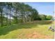 Backyard with green grass, a row of trees, and other greenery in the distance at 509 Ellingsworth Ln, Charlotte, NC 28214