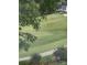 Lush green golf course view with trees and a golf cart at 1365 Winged Foot Dr, Denver, NC 28037