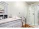 Cozy bathroom with walk-in shower, white vanity, wood-look flooring and chrome hardware at 174 Wintergreen Cir, Statesville, NC 28677